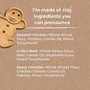 Buddy Biscuits Oven Baked Treats with Peanut Butter, Whole Grain - 16 oz. - Single Box (Shipping Only)