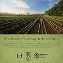 Gaia Herbs Vitex Berry Capsules - Supports Hormone Balance & Fertility for Women