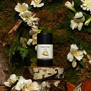 Each & Every 2-Pack Natural Aluminum-Free Deodorant for Sensitive Skin with Essential Oils, Plant-Based Packaging (Unscented, 2.5 Ounce (Pack of 2))