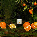 Each & Every 2-Pack Natural Aluminum-Free Deodorant for Sensitive Skin with Essential Oils, Plant-Based Packaging (Unscented, 2.5 Ounce (Pack of 2))