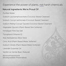 Puracy Natural Gel Hand Wash, Vegan, Hypoallergenic, All Skin Types, Lavender & Vanilla (Lavender & Vanilla, 12 Fl. Oz (Pack of 1)) (PHS12) (Shipping Only)