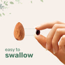 Micro Ingredients Maximum Strength Organic Korean Ginseng Root 200:1 Powder, 4 Ounce, Red Panax Ginseng Powder, Active Ginsenosides, Vegan Friendly