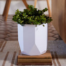Bloem Tuxton Hexagon Planter: 8" - Black - Modern Unique Geometic Small Pl, Durable Resin, Modern Design, Optional Drainage Holes, for Indoor & Outdoor Use, Gardening, 1.7 Gallon Capacity