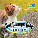 SmartCat All Natural Clumping Cat Litter, 10 Pound (160oz 1 Pack) - Alternative to Clay and Pellet Litter - Chemical and 99% Dust Free - Unscented and Lightweight