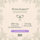 Gaia Herbs, Ashwagandha Root Vegan Liquid Phyto Capsules - Stress Relief, Immune Support Supplement, Balanced Energy Levels and Mood, 60-Count (Pack of 1)